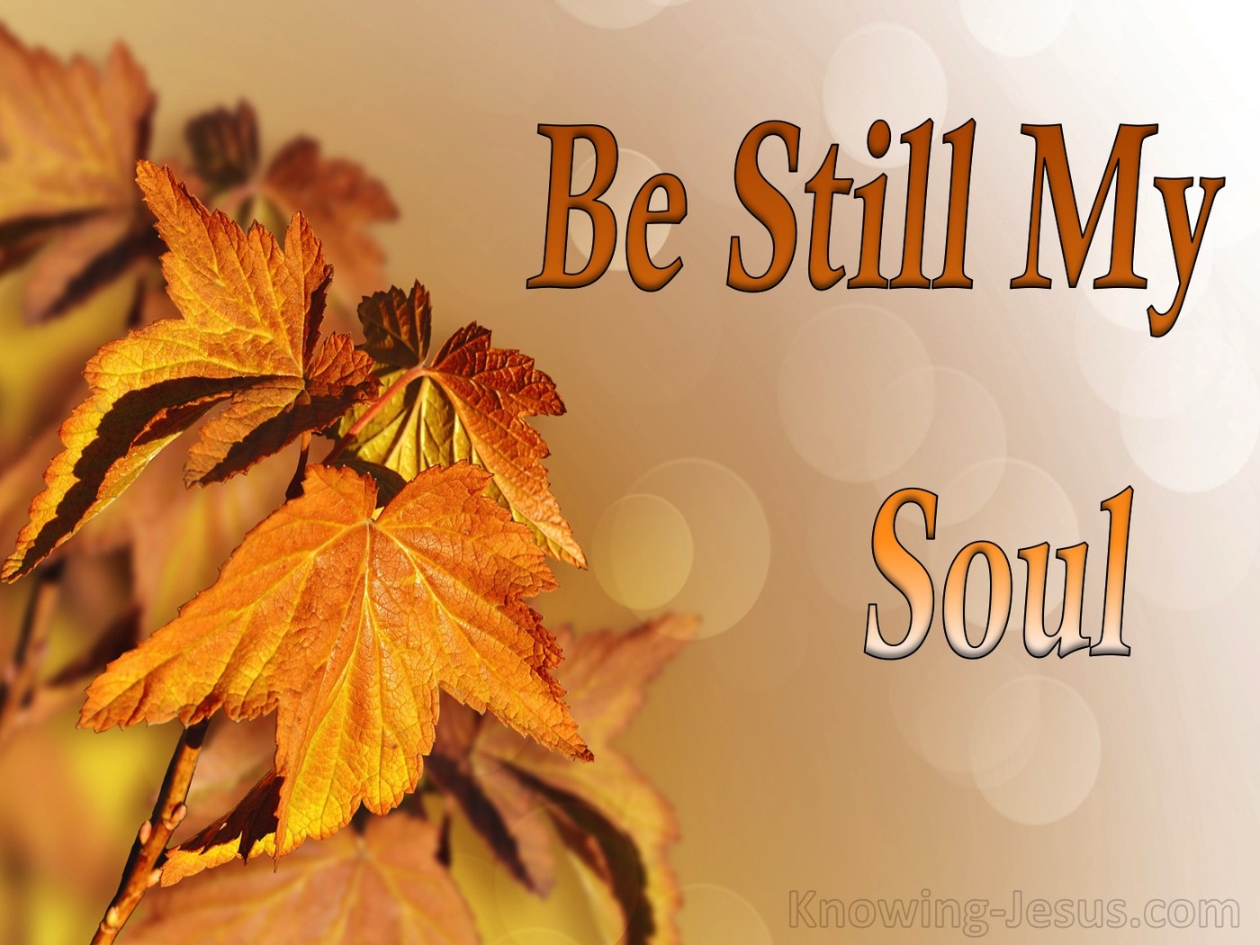 Be Still My Soul (devotional)01-08 (orange)